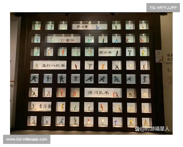 传统武术研究会精彩呈现珍稀拳种技法与独特套路解析 传统武术研究会精彩呈现珍稀拳种技法与独特套路解析